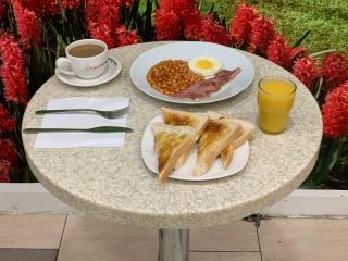 Lyon House Hotel - 7