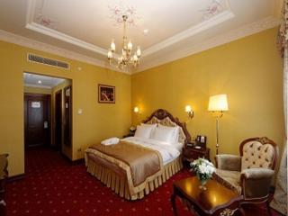 Meyra Palace - Ankara - 5