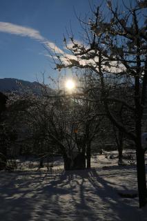 Ferienhaus Raich - 7