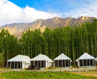 Lumbini Camp Hunder, Nubra Valley - Leh - 3