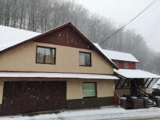 Casa Savianu Cavnic - 9