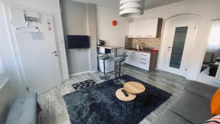 Apartment Impression - Osijek - 8