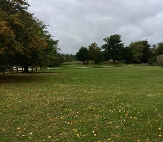 Starvegoose Cottage - Goudhurst - 7