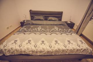 Vila Darimar Chișoda - Chişoda - 9
