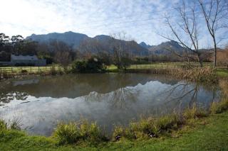 Viettz Suite Annex - Stellenbosch - 3