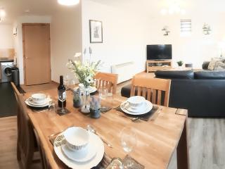Inverness City Centre Apartment with Elevator and Google Chromecast - 8