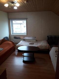 Ginto svetingi namai - Vilnius - 1
