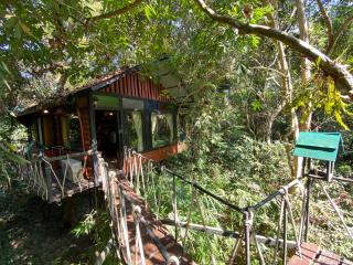 Khao Sok Tree House Resort - Parco Nazionale di Khao Sok - 4