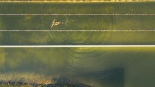 Feriendorf Rosental by S4Y - Selbstversorger Appartements - 1