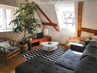 Au Grenier de La Grenouille - Colmar - 9