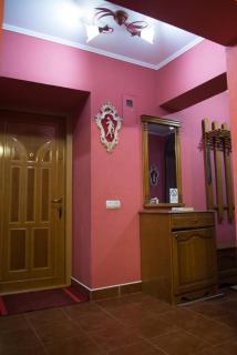 Knaus Apartments - Chernivtsi - 7