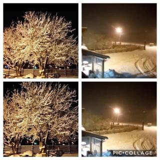 Salome Guest House - Mestia - 1
