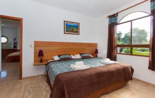 Hotel Twin Galápagos - 5