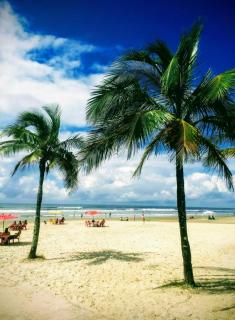 Apartamento para temporada Condomínio Ilha de Noronha Praia Grande SP - Praia Grande - 0