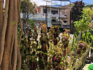 Hospedagem minha casa - 3