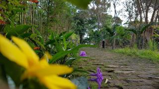 Phu Quoc Eco Beach Resort - Phú Quốc - 8