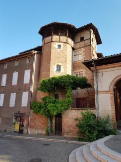 La tour du Griffoul - Gaillac - 5
