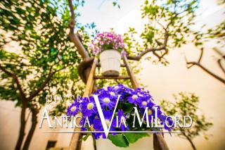 Dimora Antica Via MiLord - Monopoli - 8