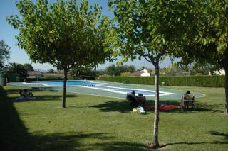 LES PALMERES 28 - 6