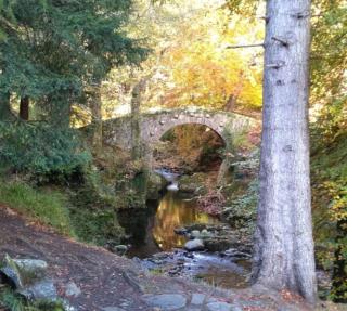Tuck Mill Cottage - 1