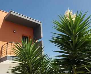 Casa Ceedina Bed And Breakfast & Beauty - Batalha - 5