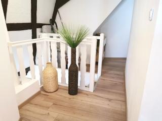 Petite Venise Grand Duplex Turenne Hyper Centre - Colmar - 1