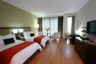 Hotel Ciudad de David - David - 5