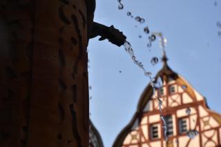 Fewo-Bernkastel-Kues - Bernkastel-Kues - 5