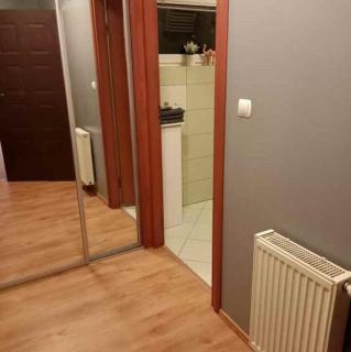 Apartament Komorniki - Komorniki - 3