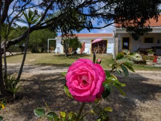 Quinta Reuffurth - Aljezur - 1