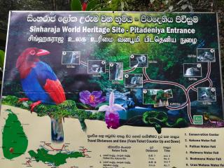 Sinharaja Vini Villa - Deniyaya - 2