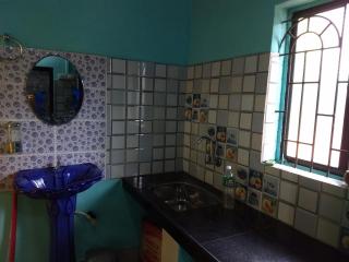 AGONDA green house - 1