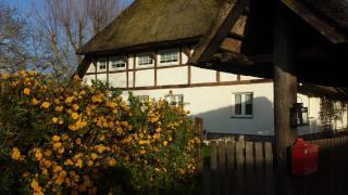 Gemütliche Ferienwohnung unterm Reetdach - Boiensdorf - 0