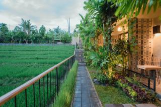 Pangkung Sari Bed and Breakfast - Canggu - 8
