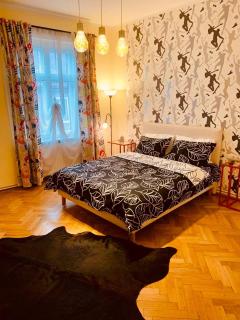Cinematheque Ultracentral Apartment - Sibiu - 1