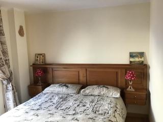 La marmotta bianca ski in out - 1