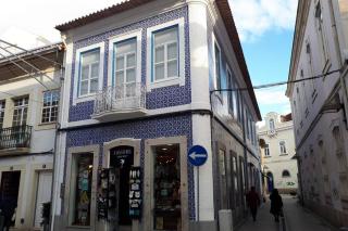 Ficus Áurea - Aveiro - 1