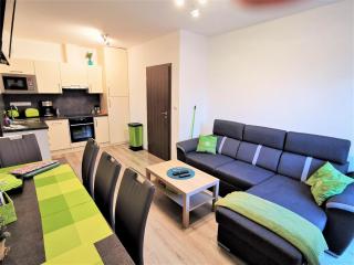 Apartmán 5 Klínovec - 9