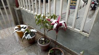 Hotel Milam Inn - 3
