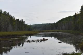 Bois Rond Expérience - 1