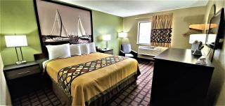 Economy 7 Inn Chesapeake - Portsmouth - 6