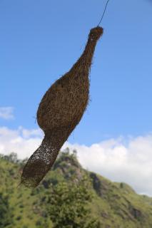 Ella River Face Inn - 7