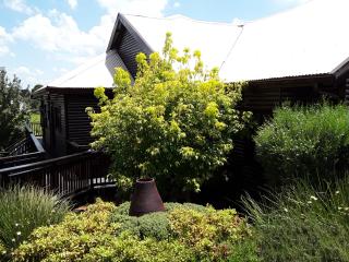Khumbula Lodge - Underberg - 7