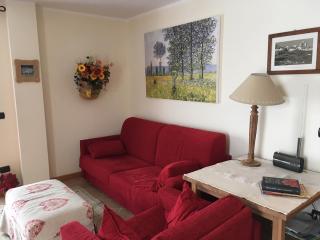 La marmotta bianca ski in out - 2