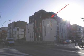Flora1 - Saint-Denis - 9