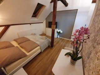 Noclegi i sauna w starym domu - Pławnica - 4