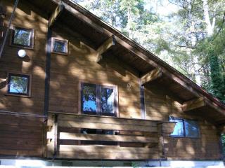 Hayashi Pension - Hakuba - 3