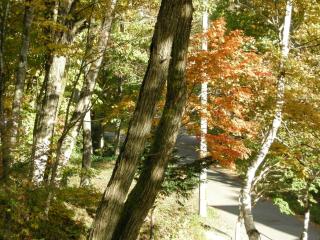 Hayashi Pension - Hakuba - 1