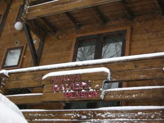 Hayashi Pension - Hakuba - 5