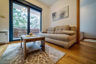 Apartment Imperial in Vila Pekovic Green - Zlatibor - 9